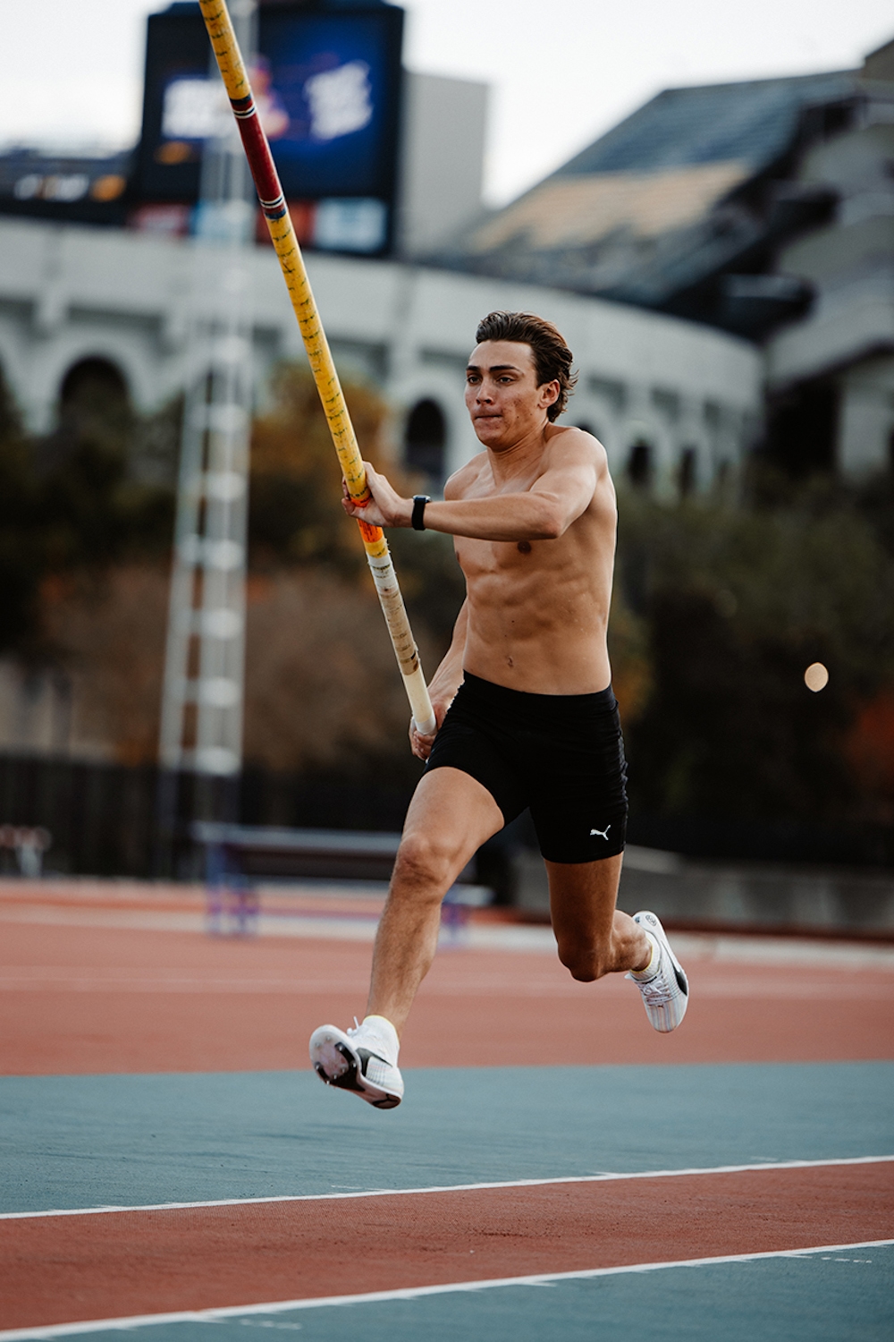 Digital Marketing Agency Taylerd