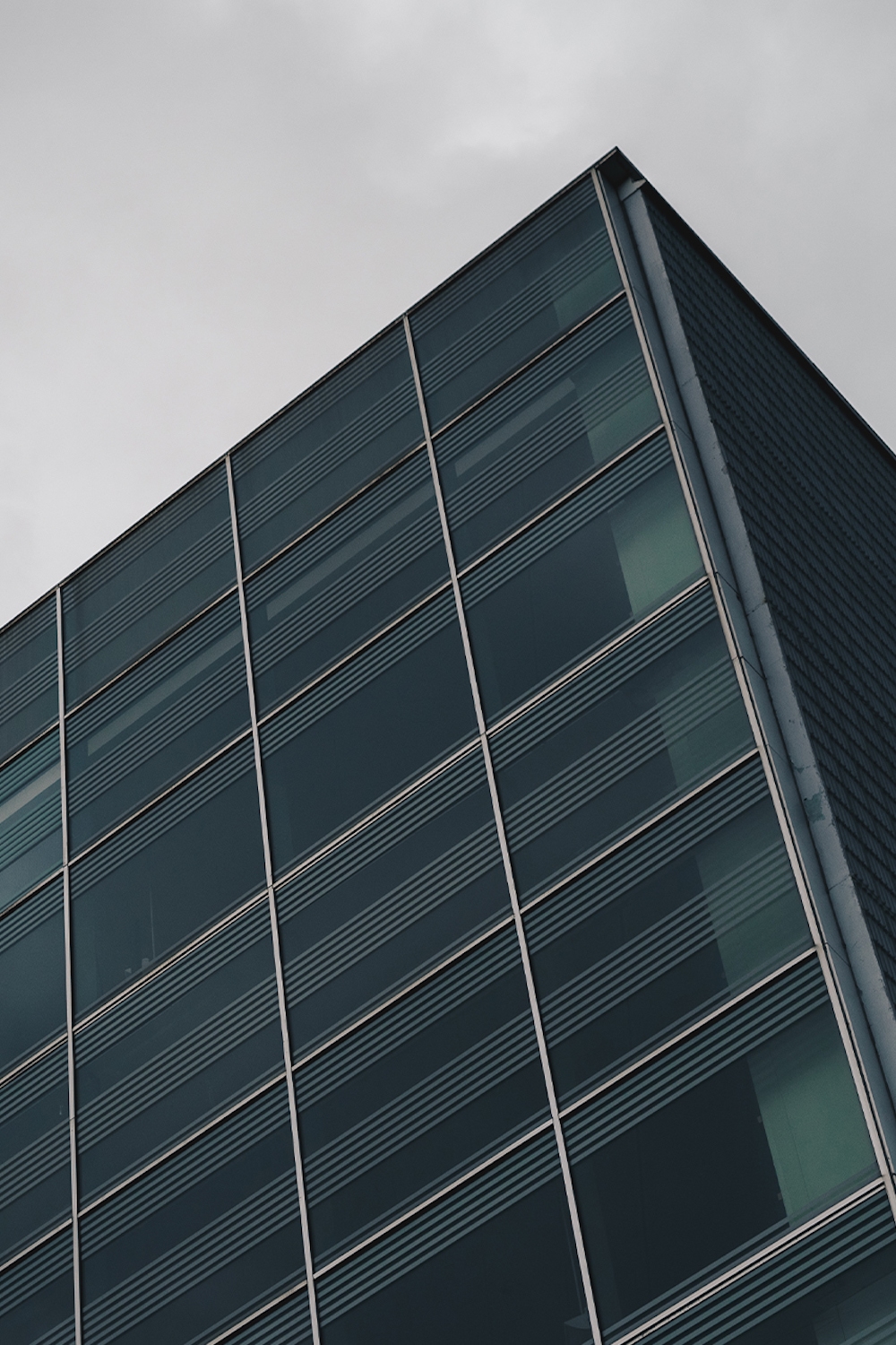 Digital Marketing Agency Taylerd